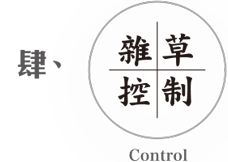 雜草控制